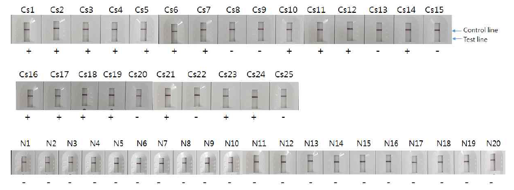 Reactivity of Cs28GST-17F-CsIUD-Re4-Re10 RDT using 17B-His antigen as a gold conjugate (OD 10).