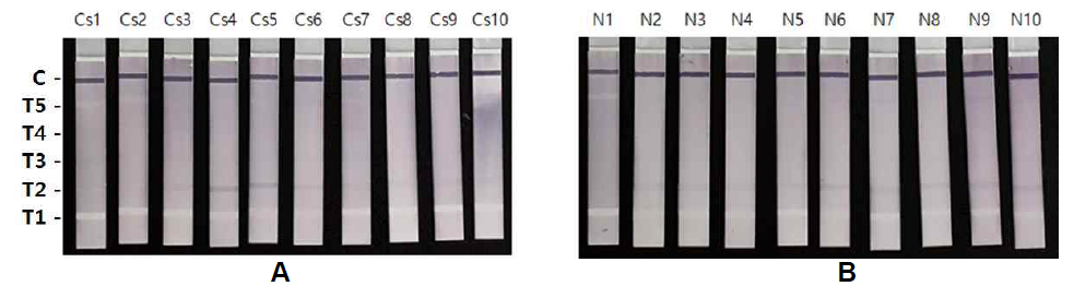 Reactivity of a prototype immunoblot strip.