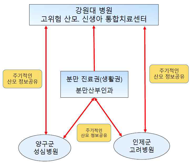 강원 춘천권 분만취약지-권역 통합치료센터 연계 모델