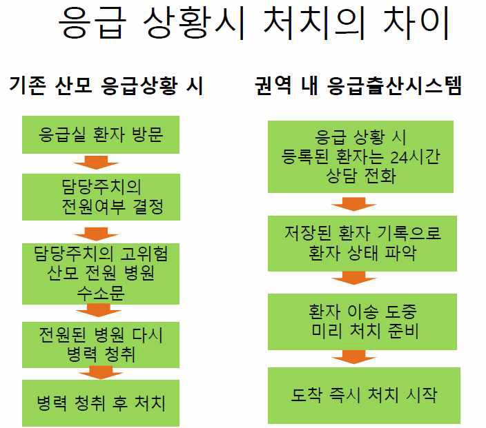 권역 내 출산 응급 시스템 이용하는 모식도