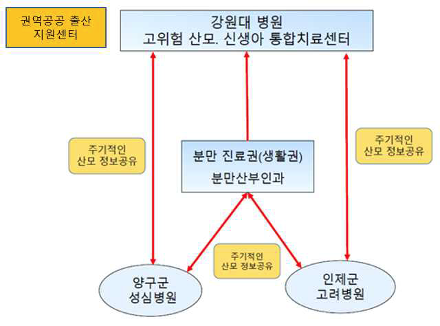 춘천권 산모-신생아 전달체계 최종 모식도