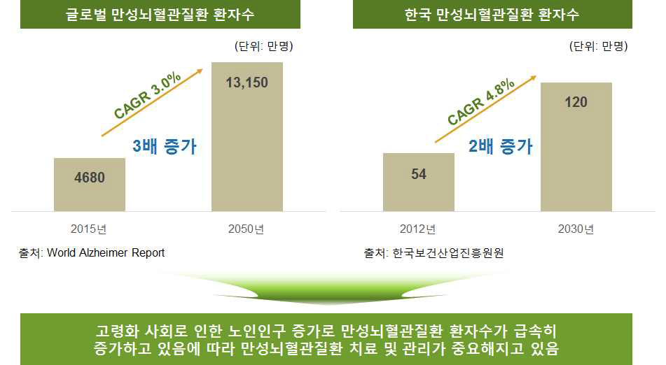 만성뇌혈관질환 환자 수 증가