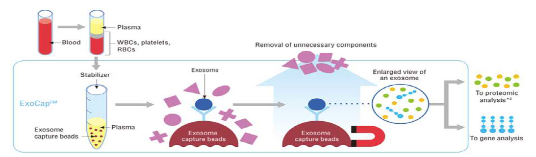 Blood, plasma 샘플로부터 ExoCap Isolation Kit을 사용한 exosome 정제 예시