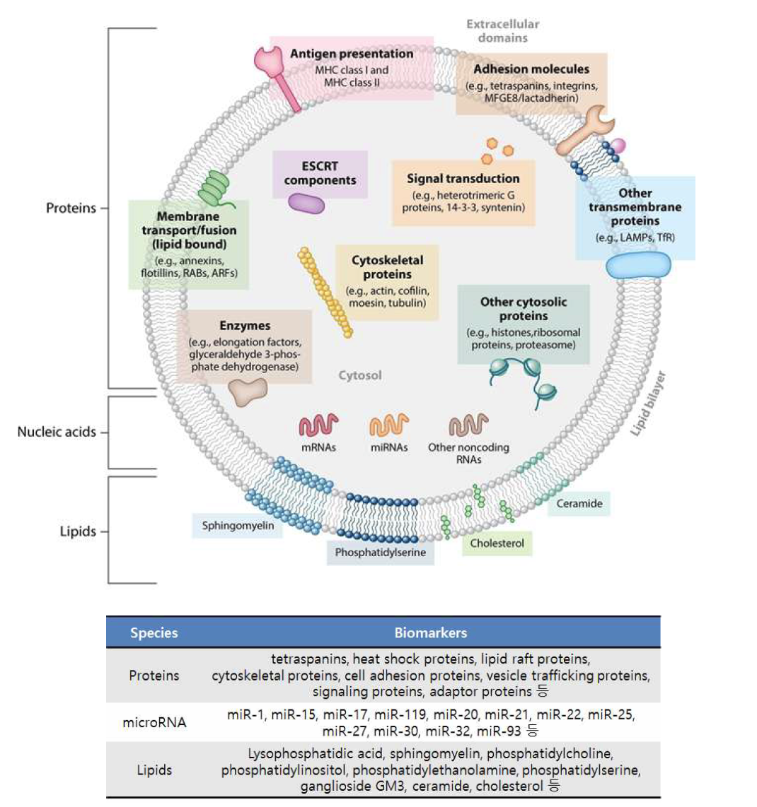 바이오마커로 사용되는 exosome proteins, lipdis and microRNAs