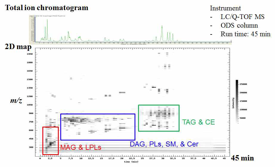 Plasma 샘플에서 RPLC-qTOF tandem MS/MS 분석에 의한 global lipid profiling 실험 결과 예시