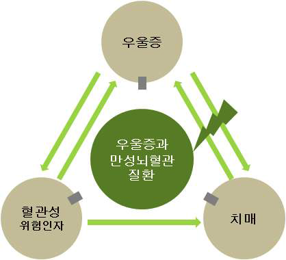 우울증과 만성뇌혈관질환과의 관계