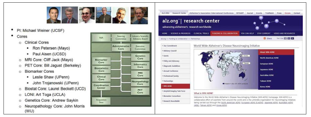 US-ADNI연구