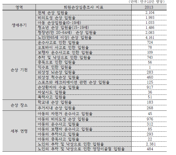 2013년 손상 발생률 (2013년 퇴원손상심층조사 자료)