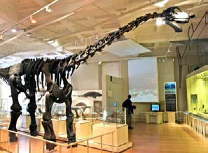 뉴워크박물관 ․ 미술관의 공룡실