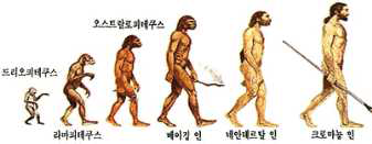 인류의 진화