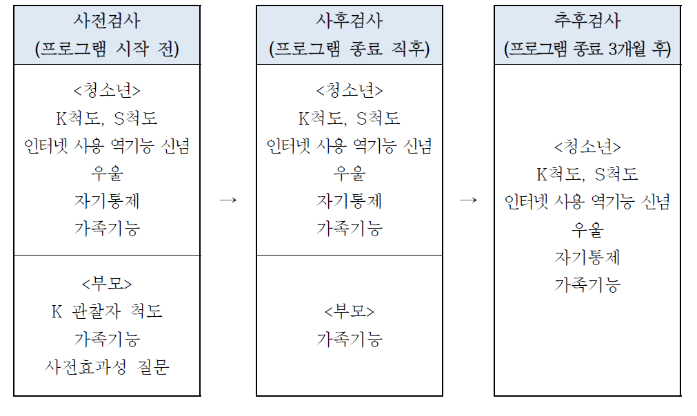 국립청소년인터넷드림마을 프로그램 평가과정