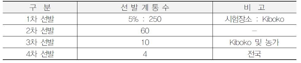 고구마 바이러스 저항성 계통(품종) 선발 과정