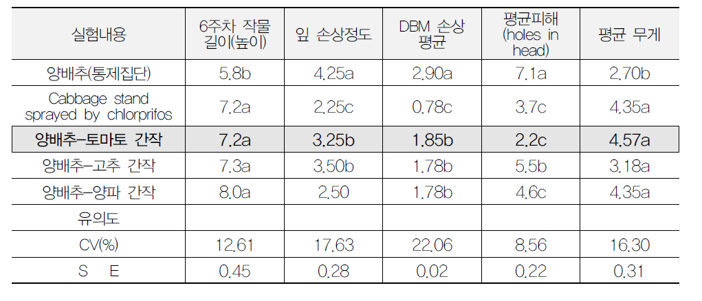 양배추 재배 시 토마토 간작에 의한 좀나방 방제효과 및 수량