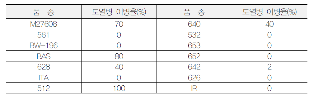 공시 벼 품종(계통)의 도열병 저항성 정도