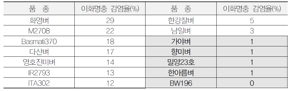 공시 벼 품종(계통)의 이화명충 저항성 정도