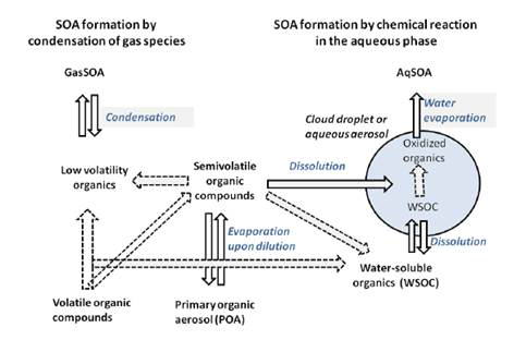 2차 유기성 가스상 및 입자상 물질의 생성과정