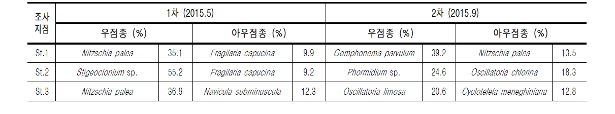 전주천의 조사지점별 부착조류 우점 및 아우점종 현황