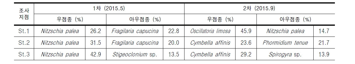 무심천의 조사지점별 부착조류 우점 및 아우점종 현황