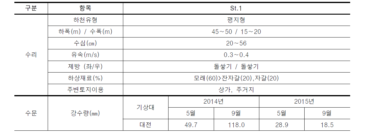 대전천의 물리적 요소 조사 결과