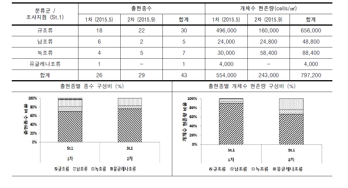 대전천의 조사지점별 부착조류 출현종수 및 개체수 현존량(cells/㎠)