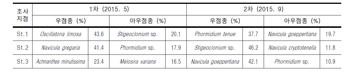 목감천의 조사지점별 부착조류 우점 및 아우점종 현황