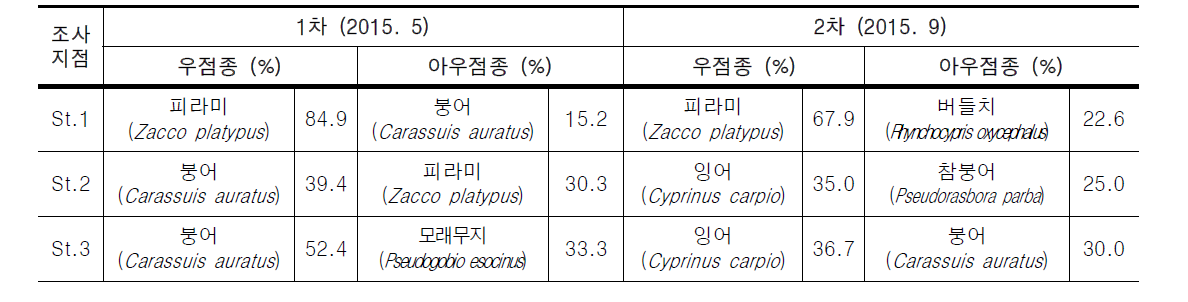 안양천의 조사지점별 우점 및 아우점종 어류 현황