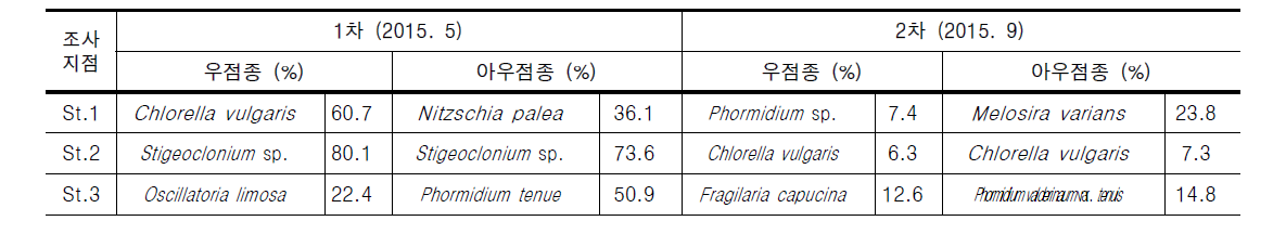 안양천의 조사지점별 부착조류 우점 및 아우점종 현황