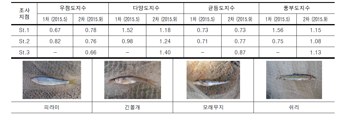 경안천의 조사지점별 어류 군집지수 산출 결과