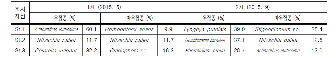 화천천의 조사지점별 부착조류 우점 및 아우점종 현황