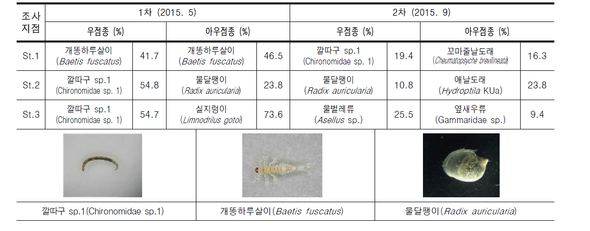 신어천의 조사지점별 우점 및 아우점종 저서성대형무척추동물 현황