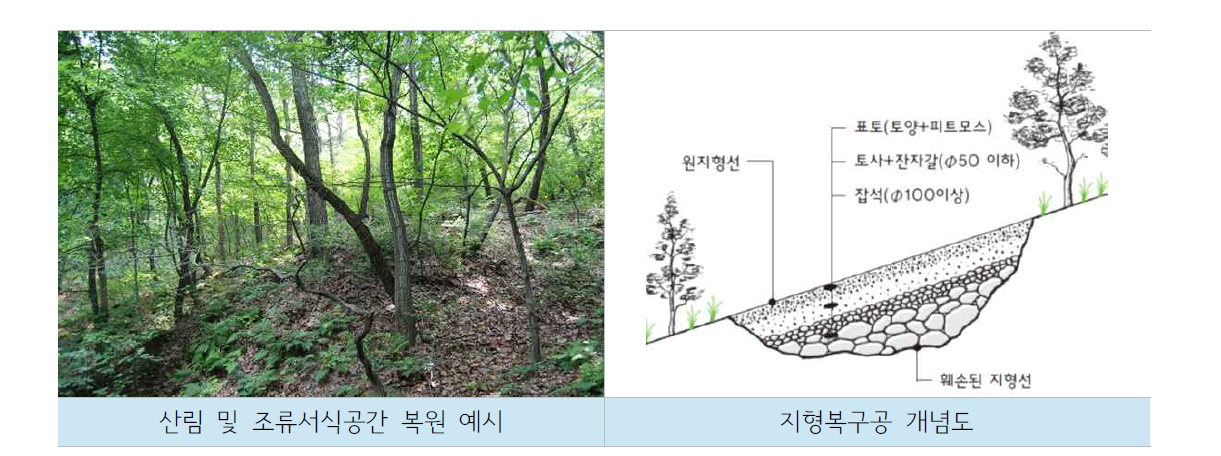 산림 및 조류 서식처 복원 계획 및 지형복구공 개념도