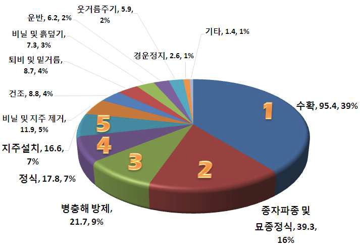 고추 작업단계별 노동투하시간 분석