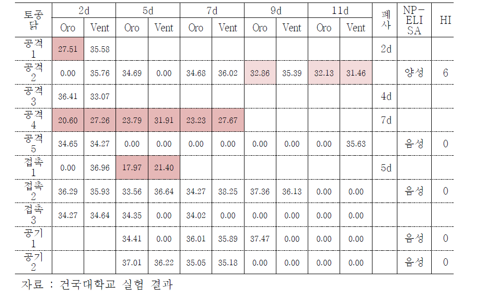 H5N8 바이러스 (clade 2.3.4) 접종 후 토종닭 swab sample의 real-time PCR 결과 (값=CT value)