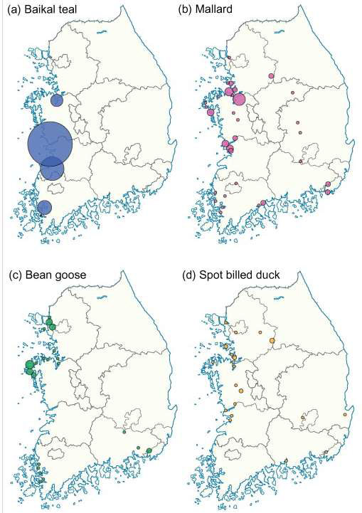 한국 주요 겨울 철새 서식지 분포 지도