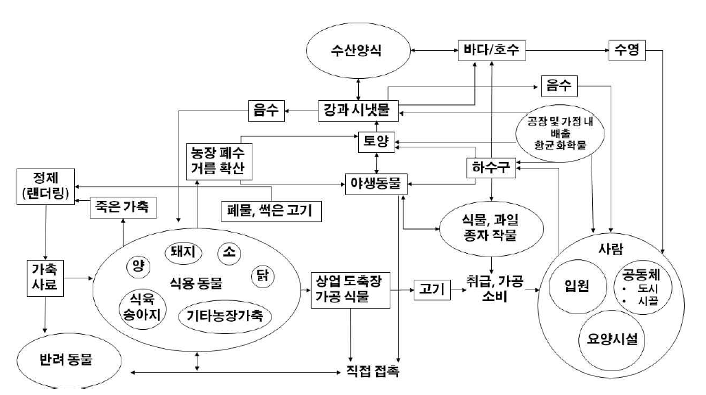 항생제 내성의 역학