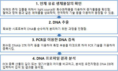 DNA 프로파일링 흐름도