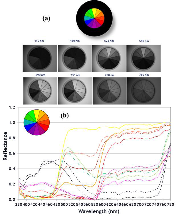 복잡한 2차원 반사율 패턴의 샘플에 대한 이미지 분광광도계의 측정결과. (a)는 샘플의 사진이며, (b)는 특정 파장에서 CCD 카메라가 측정한 분광이미지, (c) 는 ROI 위치에 따라 변하는 분광반사율 측정결과이다