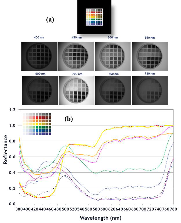 복잡한 2차원 반사율 패턴의 샘플에 대한 이미지 분광광도계의 측정결과.