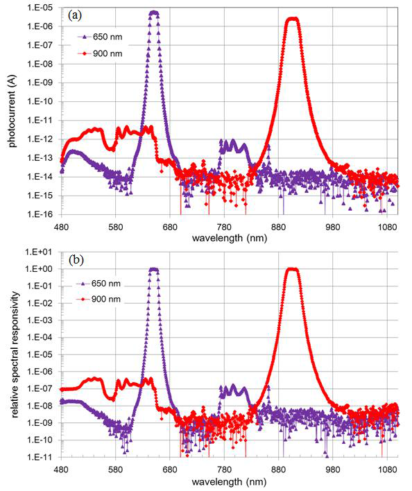 Measurement results of the spectral responsivity of the reference radiation thermometer LP4 by using the SCL-based setup