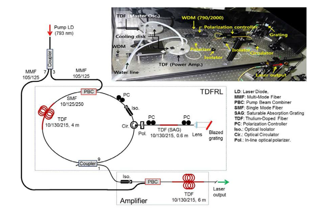 Schematic layout of the tunable TDFRL integrated with an amplifier.