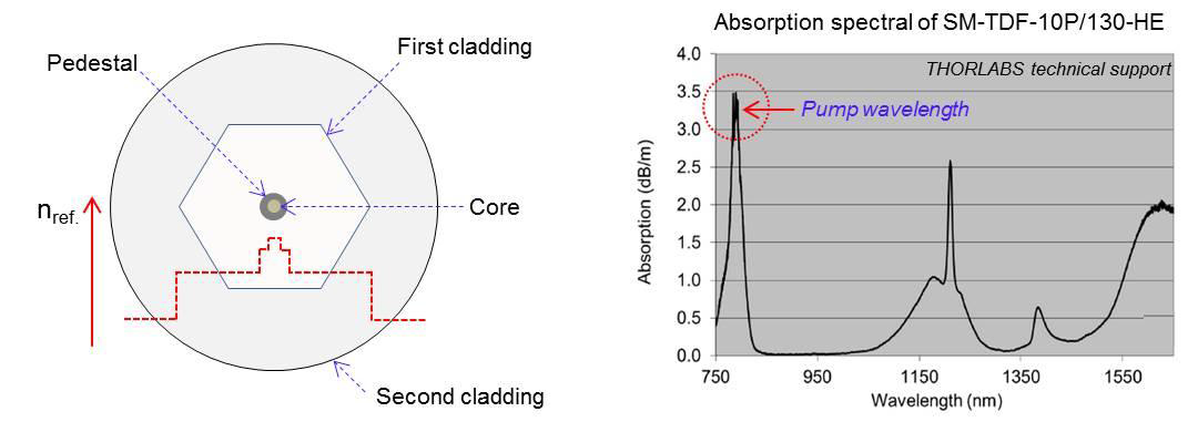 Cross-section and absorption spectrum of TDF