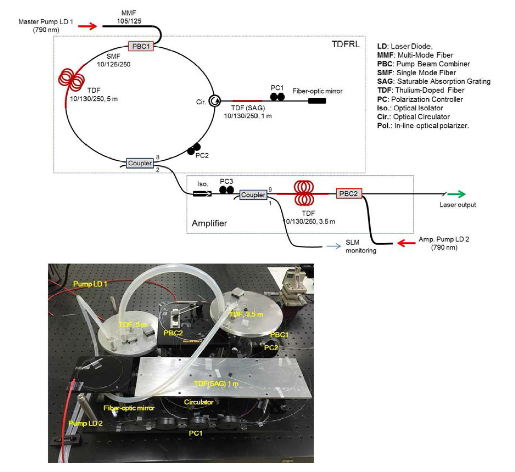 Schematic layout of the TDFRL integrated with an amplifier for high power applications.