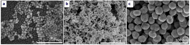 금 나노입자의 SEM image (a: 13 nm, b: 50 nm, c:100 nm)
