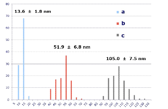 SEM 데이터에서 얻어진 금 나노입자의 사이즈별 size distribution