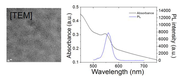 분석에 사용된 CdSe/ZnS 나노입자의 TEM 사진 및 UV-Vis absorption 및 PL측정을 통해 광특성을 확인한 결과