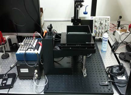 다파장 나노초 펄스 광원을 사용한 광음향 분광 시스템