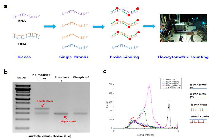 Sequence-specific counting of genes.