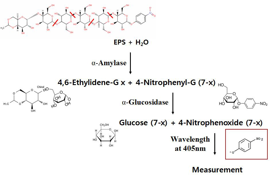 Measurement of catalytic activity concentrations of alpha-amylase