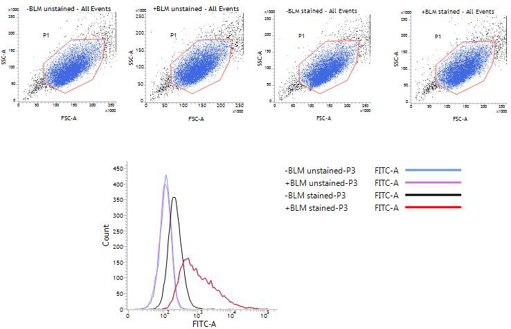 FACS analysis of gamma-H2AX signals induced by genotoxin treatment of U2OS cells