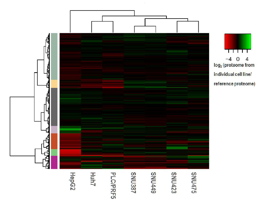 2-D clustered heat map of protein expression in 7 different hepatoma cell lines